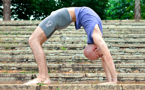 [Дмитрий Барышников] Искусство глубоких прогибов (_0.jpg